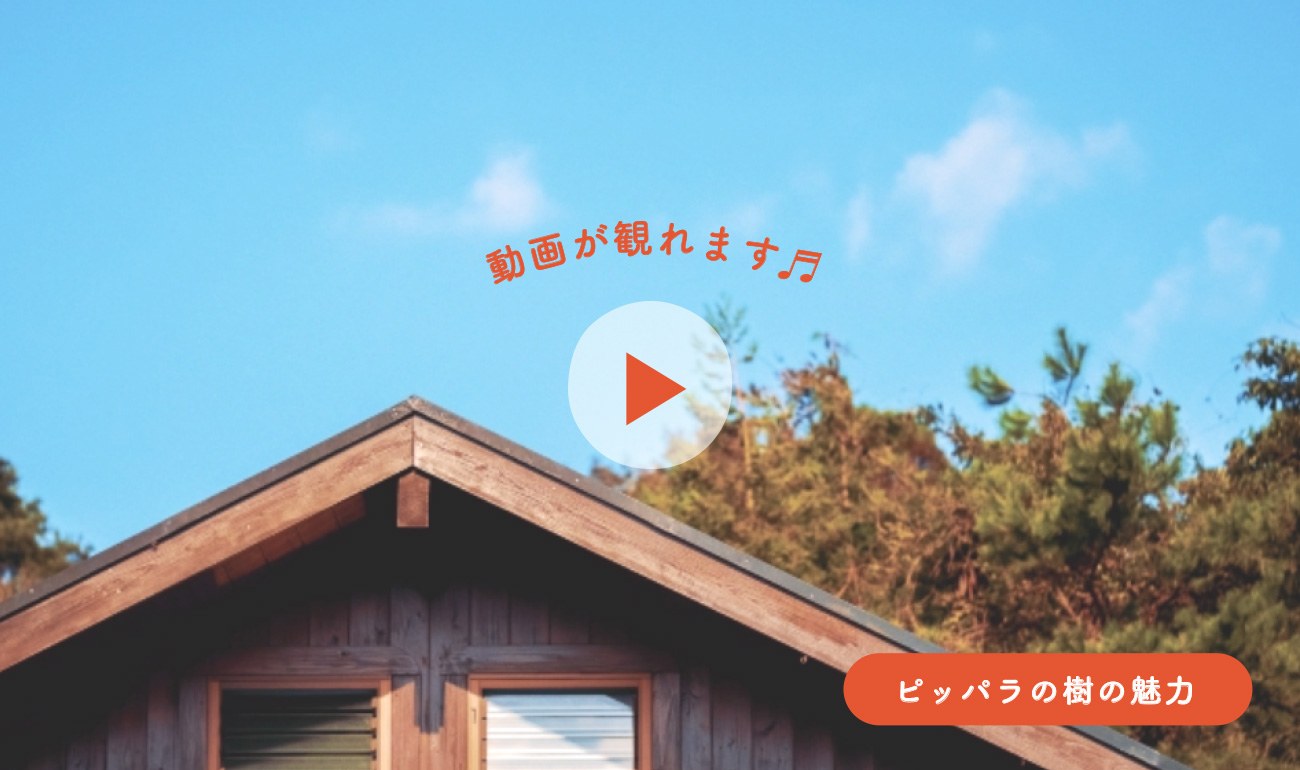 ピッパラの樹の魅力