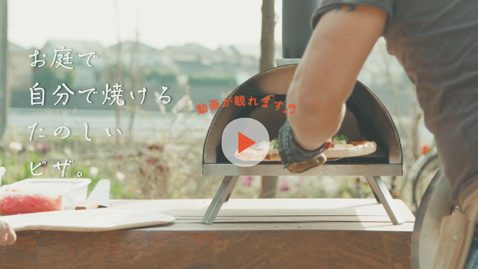 動画が観れます