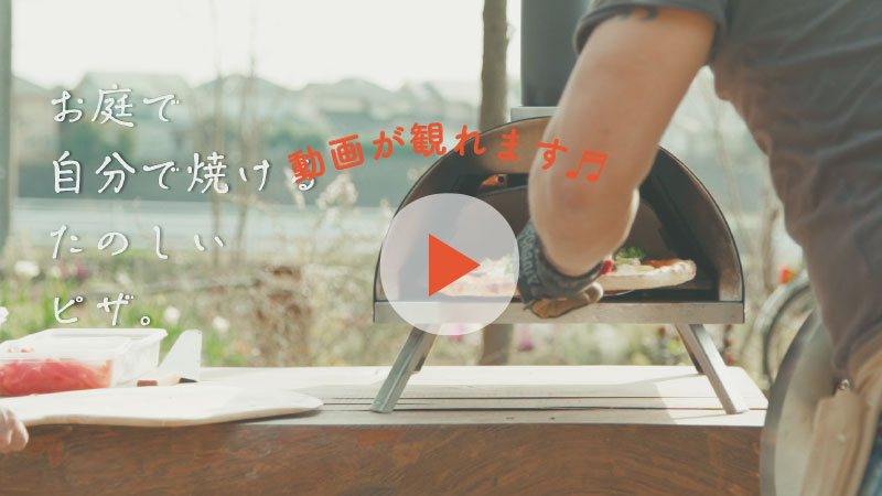 動画が観れます